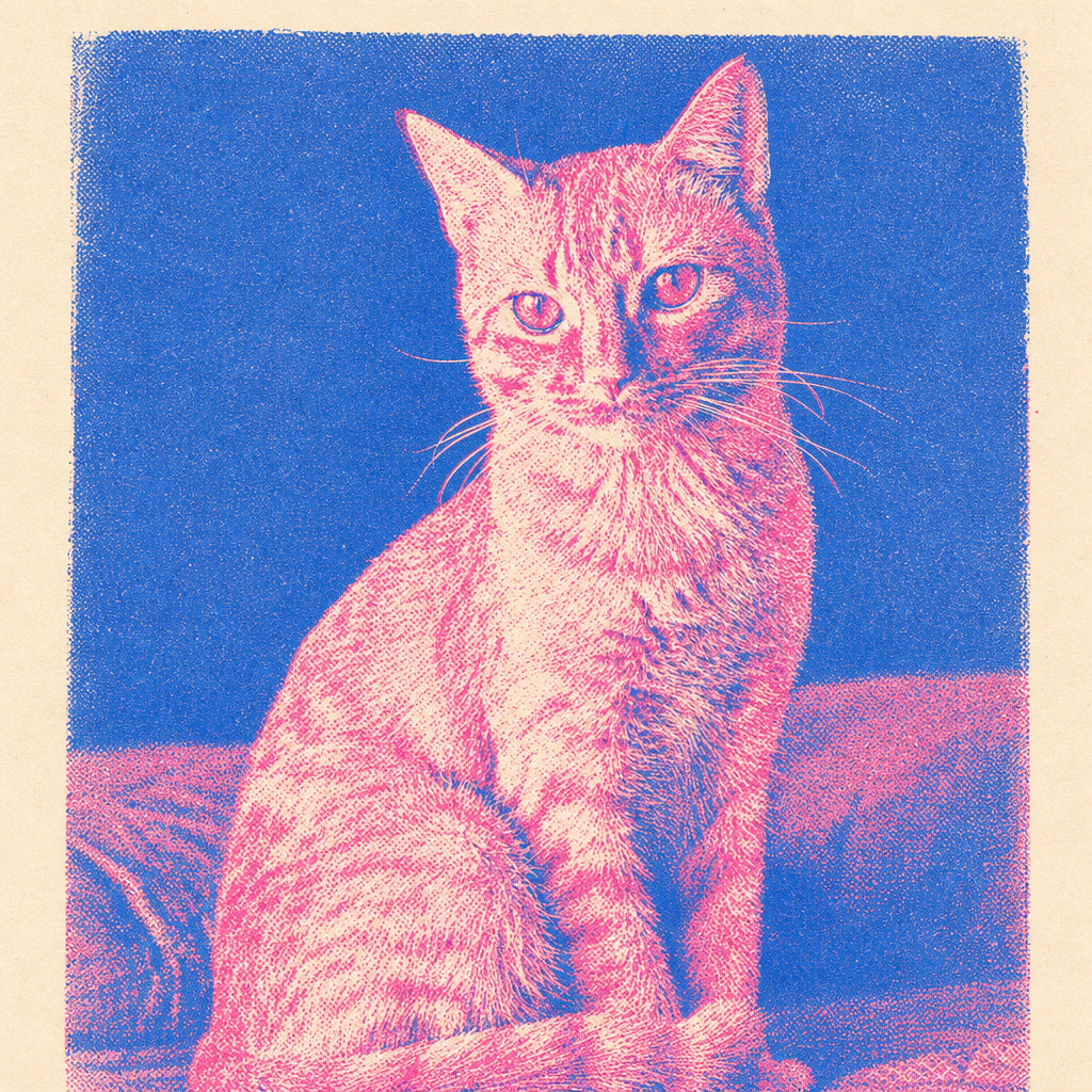 Cat in window, illustrated as a 2-color risograph print